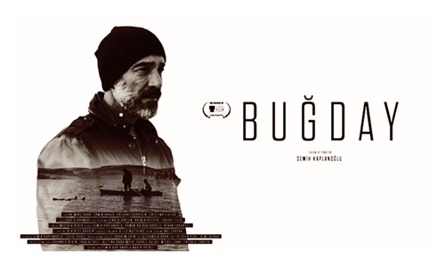 BUĞDAY